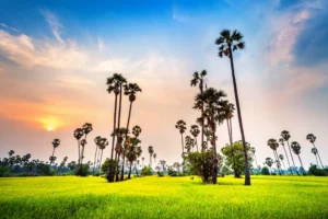 Bangladesh News